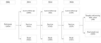 Association between tea drinking and disability levels in older Chinese adults: a longitudinal analysis